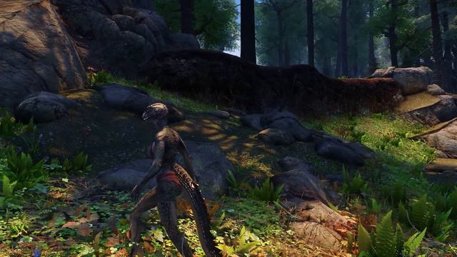 |Skyrim| Argonians Making A Come Back This Time! MUST HAVE Mods
