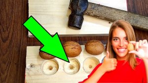 Как без труда колоть сразу несколько грецких орехов || Простое устройство своими руками #30