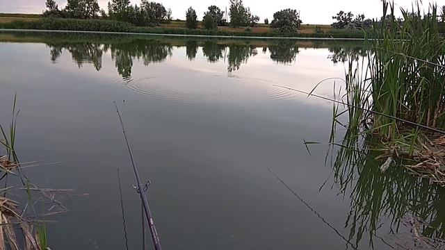 Рыбалочка 🤗 👍 смотреть онлайн