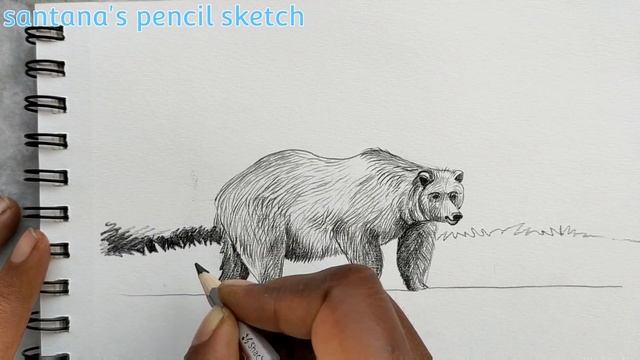 Bear drawing//How To Draw Bear//Landscape with Bear sketch смотреть онлайн