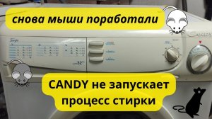 стиральная машина CANDY не начинает процесс стирки