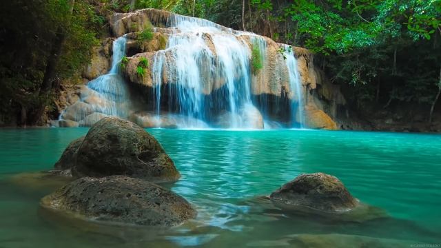 Musique Douce: Relaxante, Calme - Nature Relaxation