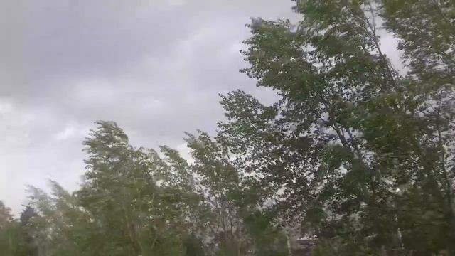 Внезапный ураган в Сибири. смотреть онлайн