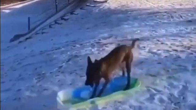 скелетон смотреть онлайн