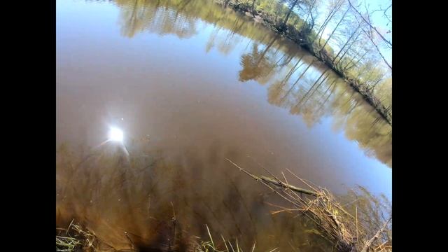 Мормышинг. Свислочь, белая рыба. смотреть онлайн