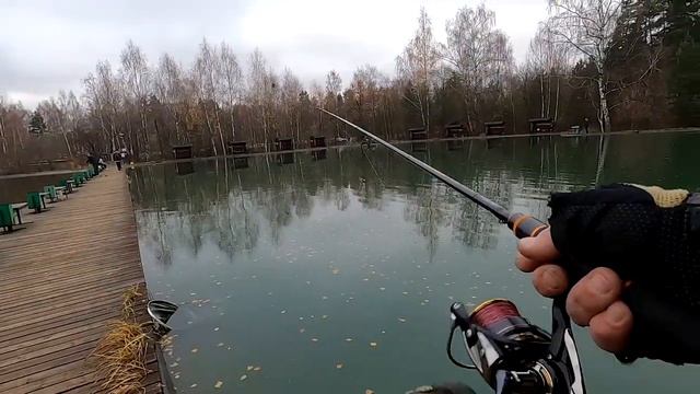 Магия Гидры - Sportex Hydra Spirit или 