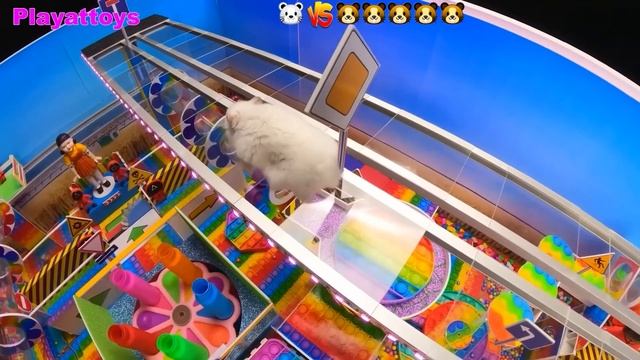 ? Hamster Escapes the Pool Maze for Pets ?Hamster vs Pop It maze for pets смотреть онлайн