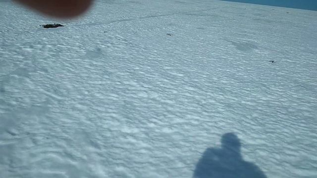 Закрытие МОТОсезона для МОТОсноуборда SNIKE!!! смотреть онлайн