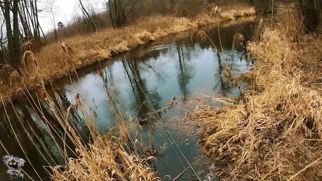 Форель зимой. А зимы и не видно смотреть онлайн