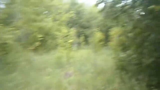 ket.i.deti Сбор земляники. 08.07.2017 смотреть онлайн