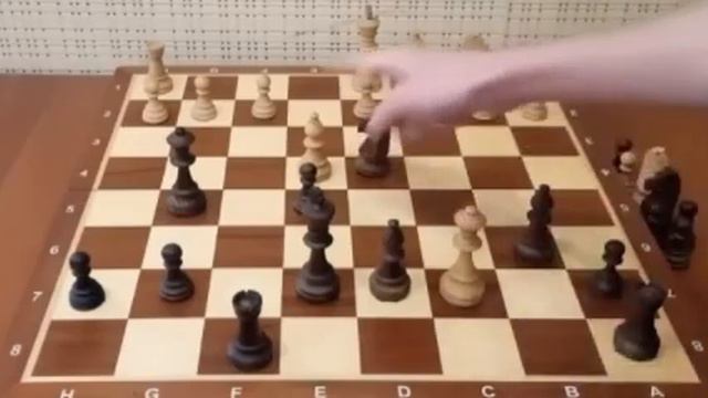 Самый красивый МАТ в истории шахмат! За 1 ход без ферзя! Шахматы смотреть онлайн