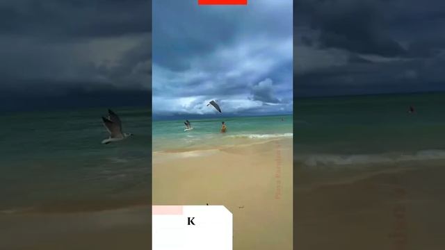 Playa Paraiso Куба смотреть онлайн