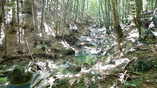 Крым, посёлок Соколиное.Река Сары-Узень - водопад 