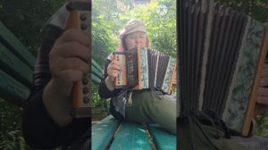 Саратовская гармонь