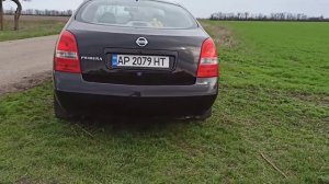 Nissan Primera P12 МКПП 1.6 2006 обзор