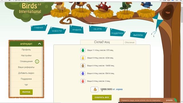 Golden Birds International 2.0 - ВВЕЛИ БАЛЛЫ !!!