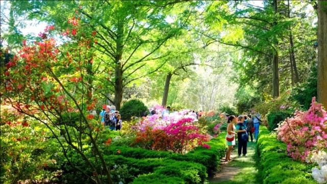 Профессиональные сообщества на новой Земле.