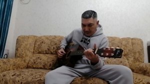 Кто-то хитрый и большой! Чайф! Песни под гитару!