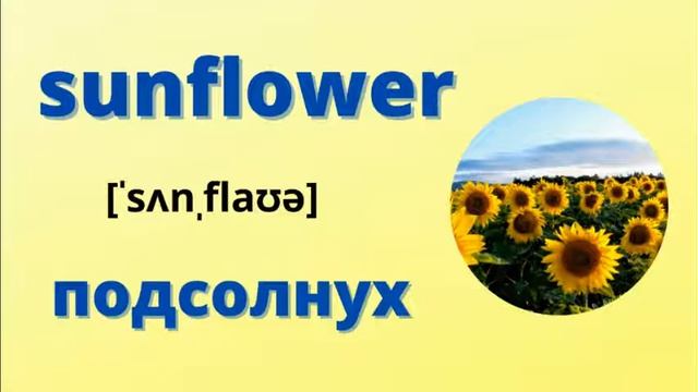 Английские слова на тему «Цветы» смотреть онлайн