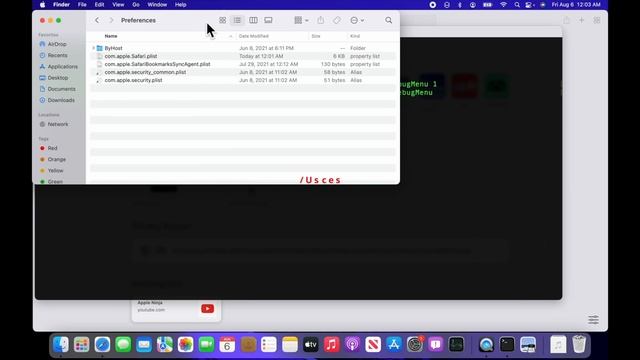 How To Enable Safari's Hidden Debug Menu & Safari's Develop Menu смотреть онлайн