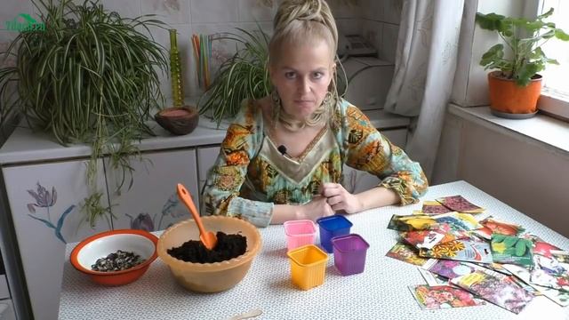 ? Нехватка кислорода - частая причина гибели рассады - 7 дач смотреть онлайн