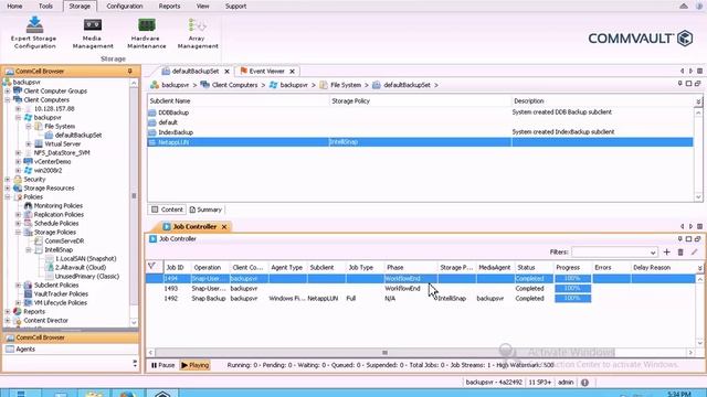 Commvault IntelliSnap for Netapp demo смотреть онлайн