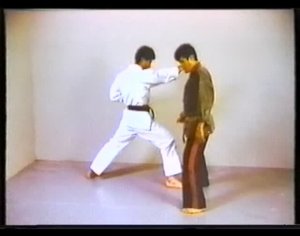 Сикэндо, боевые приемы Тадаси Ямаситы. Ч 1