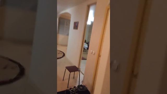 [✨LIVE] ПРОБУЕМ ПРОВЕСТИ ПРЯМУЮ ТРАНСЛЯЦИЮ С АЛИНОЙ ? смотреть онлайн