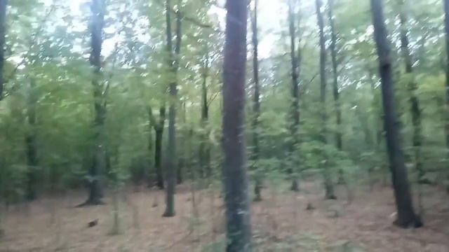 Желаю вам запастись грибами в этом году впрок смотреть онлайн
