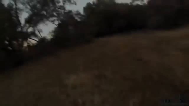 Top 10 Angry Boar Attacks смотреть онлайн