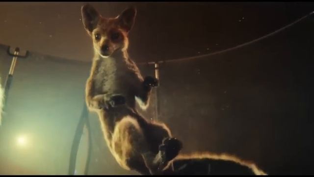 John Lewis Christmas Advert 2016 (Buster The Boxer)