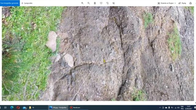 Kaya Üzerine Yapılmış Köpek Ve Saçları Olan Kadın Define İşareti Analizi