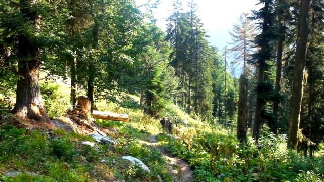 АРХЫЗ И ДОМБАЙ. Огромное путешествие  Южный Урал - Северный Кавказ. Поляна Таулу и Озеро  Орленок