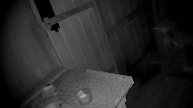 TOQUEI NA APARIÇÃO DO FANTASMA E ME ARREPENDI! смотреть онлайн