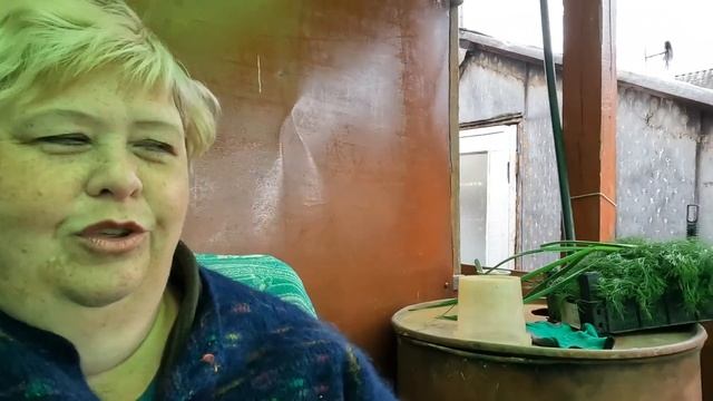 Наша дачная жизнь. Укроп на зиму. смотреть онлайн