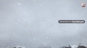 Жил был кот 2 мультфильмы