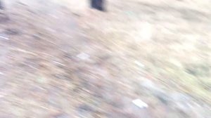 Как извести лужу  Лужа на дороге что делать