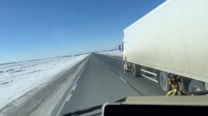 Прошёл Омск, судак огонь!!!