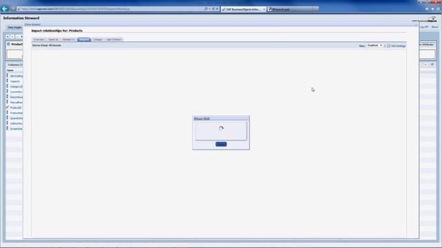 SAP Information Steward