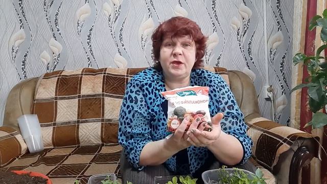 Пикировка перцев,баклажан и томатов, дальнейшие подкормки???? смотреть онлайн