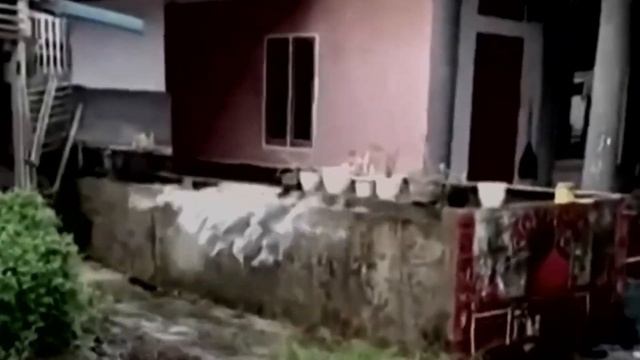 An earthquake of magnitude 6 4 occurred near West Java смотреть онлайн