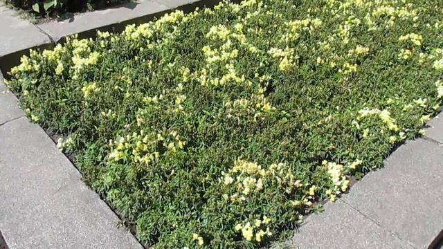 Заграничный паспорт в Украине - как сделать. 2 часть смотреть онлайн