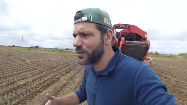 24.09.17 г Убрали свёклу готовимся к уборке моркови смотреть онлайн