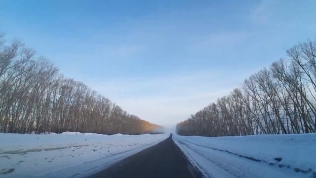 Дорога на Зимовье Как Автомобиль ? Въезжает в Туман Восточный Казахстан смотреть онлайн