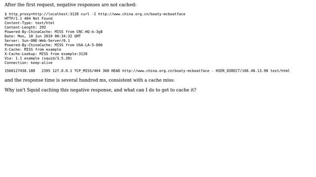 Squid negative_ttl not working смотреть онлайн