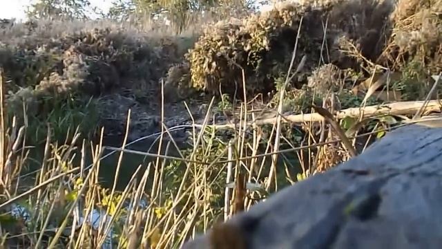 ловля рыбы пауком смотреть онлайн