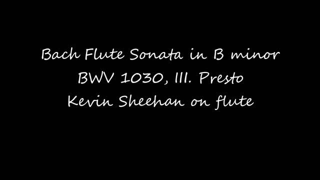 Bach flute sonata in B minor, BWV 1030 III Presto смотреть онлайн