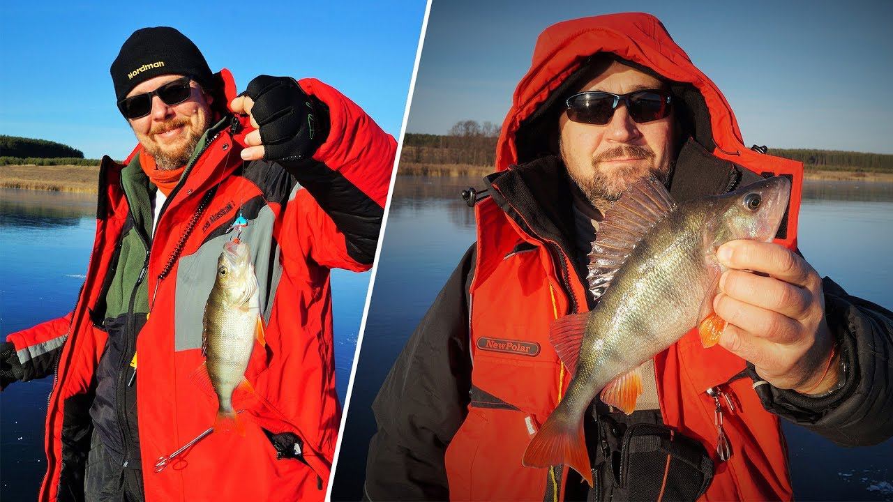 Перволедье 2018 г. Окуни на балансир в Инютино. смотреть онлайн