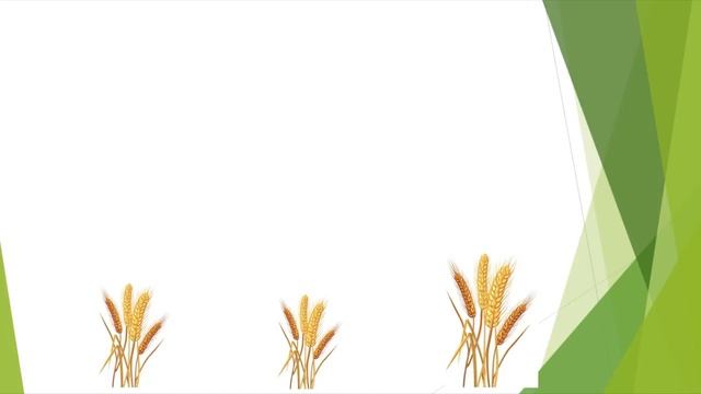 Откуда хлеб пришел Ознакомление с окружающим миром смотреть онлайн