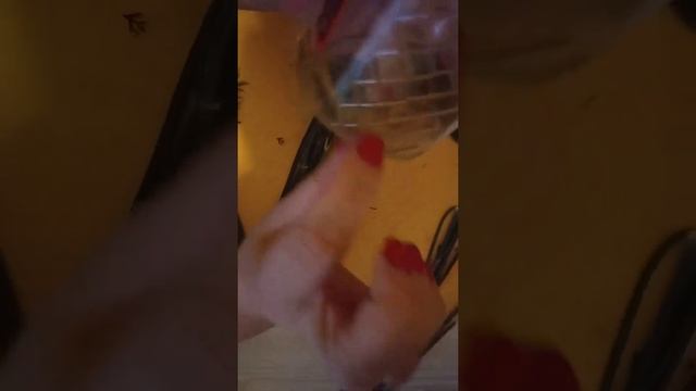 КАК СОХРАНИТЬ ЗЕЛЕНЬ- ДОЛГО смотреть онлайн